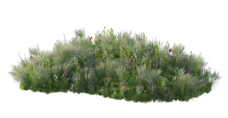 Wall Mural - Small garden with many plants and flowers on transparent background