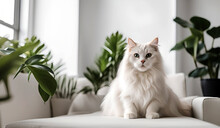 White Angora Cat  Is Sitting On The Sofa Among Green Potted Houseplants And Looking Straight Ahead.Love For Pets Concept.Generative AI