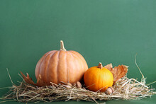 Raw Pumpkins, Dry Leaves, Hay And Acorns For Halloween Celebration On Green Background