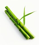 Fototapeta Sypialnia - A group of green bamboo sticks arranged neatly