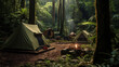 Tents Set Up in a Lush Rainforest