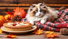 Autumn Tea Party With Cake And Cat. Thanksgiving With A Fluffy Cat, Pie, Pumpkins And Autumn Leaves In A Cozy Home.  Autumn Season. October. Fall Mood.
