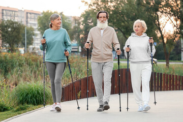 Poster - Group of senior people performing Nordic walking outdoors