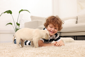 Sticker - Little boy with cute puppies on beige carpet at home