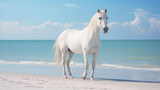 Fototapeta Konie - A Beautiful White Horse on a White Sand Beach with a Crystal Blue Ocean Behind it - Light Blue Pastel Color Tones - Calm, Quiet, and Peaceful Setting