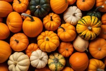 Many Small Pumpkins And Squashes In A Pile