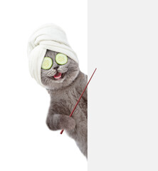 Poster - Happy cat with towel on it head and pieces of cucumber on it eyes points on empty white banner. isolated on white background