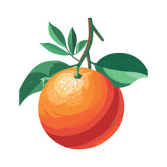 Canvas Print - Fresh citrus fruit on green leaf branch vector