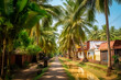 Typical South Indian village , Homes on either side of the canal surrounded with coconut trees, Generative AI image.