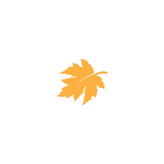 Wall Mural - maple leaf graphic vector unique illustration 97