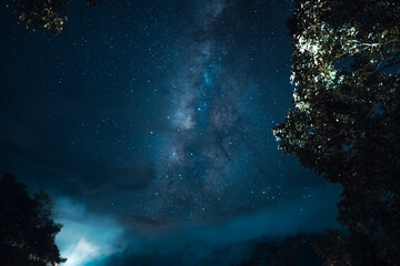 stars and the milky way in the night sky