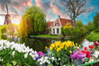 Amsterdam Netherlands, city skyline at canal waterfront with spring tulip flower. High quality photo