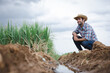 © kamonrat - Farmers and water system management in sugarcane fields
