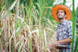 © kamonrat - young farmer with laptop in sugarcane field to checking quality before harvest.technology, agriculture and farming concept