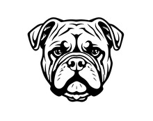 Vector Stylized Bulldog Illustration Isolated On White Background