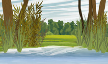 Shore Of A Lake With Tall Green Grass And Trees. Realistic Vector Landscape