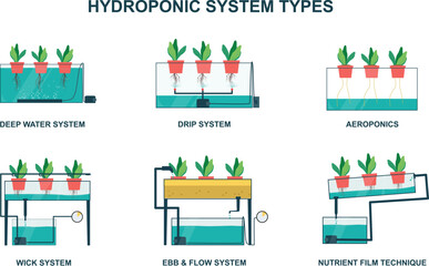 Hydroponic System Types. Illustration Icon Style Vector with Color 