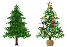 クリスマスツリー デコレーション  もみの木