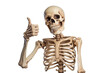 © comicsans - A Halloween skeleton isolated on white background - Generative AI