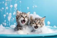 Cute Kitten Takes A Bath And Plays With A Fluffy Bubble Of Shampoo In Bathroom And Blue Background. Pets And Animals Clean Concepts.