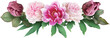 Pink roses, tulip and peony isolated on a transparent background. Png file.  Floral arrangement, bouquet of garden flowers. Can be used for invitations, greeting, wedding card.