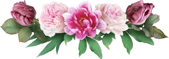 Wall Mural - Pink roses, tulip and peony isolated on a transparent background. Png file.  Floral arrangement, bouquet of garden flowers. Can be used for invitations, greeting, wedding card.