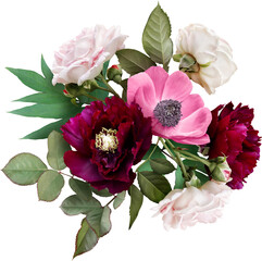 Wall Mural - Pink roses, anemone  and maroon peony isolated on a transparent background. Png file.  Floral arrangement, bouquet of garden flowers. Can be used for invitations, greeting, wedding card.