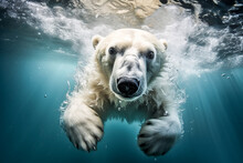 Generative AI Image From Below Of Polar Bear With White Fur And Brown Eyes Looking At Camera While Swimming Underwater In The Arctic