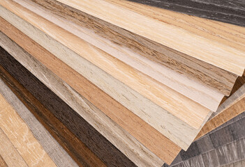 Palette of wood decor samples with different colours and textures. Sample of wood chipboard. Wooden laminate veneer material for interior architecture and construction or furniture finishing 