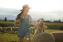 Smiling Woman With Bucket Feeding Sheep On Pasture At Farm