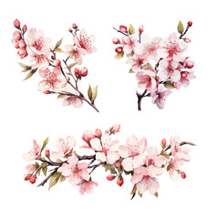 Wall Mural - Collection of сherry blossom flowers and branches in vector watercolor style. Thank you card	