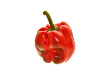 Wall Mural - bell pepper isolated on white background