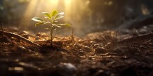 The Seedlings Are Expanding From The Fertile Soil. Generative Ai.