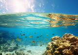 Fototapeta Do akwarium - Underwater split between reef with fishes and blue sky background.Macro.AI Generative