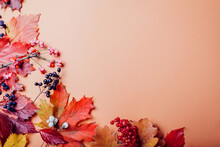 Fall Background Made Of Red Yellow Brown Orange Leaves And Berries. Autumn Floral Design Decor. Space. Top View