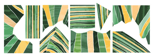 Wall Mural - collage of green textured ripped page. paper torn rip edge strip piece. abstract agriculture field o