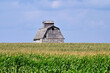 Old barn partially obscured by maturing corn crop. The scene is representative of many farms during mid to late summer throughout the Midwestern United States.