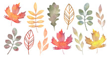 Collection Of Various Autumn Leaves.Botanical Clipart For Seasonal Holidays.Thanksgiving,Halloween.Watercolor Style.Handmade Isolated Art.