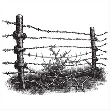 Hand Drawn Engraving Pen And Ink Barbed Wire Vintage Vector Illustration
