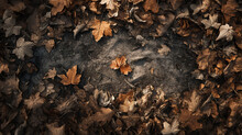 A Top-view Image Of A Park Floor In Autumn Which Reveals A Carpet Of Dried Leaves Covering The Ground. Between The Leaves, Empty Spaces Reveal The Dry Earth Beneath
