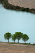  Inquadratura unica delle crete senesi particolare, alberi , lago, terra, Asciano, Toscana Italy