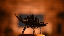 Rotating Dinosaur Bones Made Of Resin In Warm Night Light Lamp