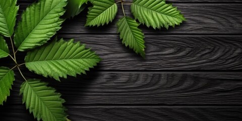 Wall Mural - Flat lay photo black wooden and green leaf around it, copy space background. Generative AI image weber.