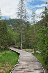 Wall Mural - trail around Lago di Dobbiaco