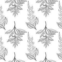 Wall Mural - Amaranth plant seamless pattern vector illustration repeating background. Hand drawn Pigweed flower, vegetarian nutrition, grains agricultural. For print, design, paper, label, wrapping, textile, card