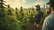 A man is looking intently at a marijuana plantation. Looking at this plot may indicate an interest in the plant's medicinal value and the industrial applications of cannabis.Generative AI illustration