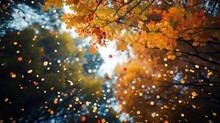 Bottom View Of Shiny Falling Autumn Leaves From The Treetops. Glitter Nature Background.