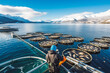 Top view of fish farms in Norway in winter time, fishing industry concept with mountains in background