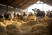 Cows Feeding On Hay In A Dairy Farm Cowshed. Generative AI