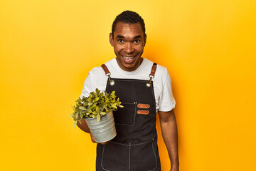 African American man gardener with plant, yellow studio, laughing and having fun.